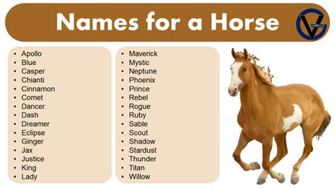 horse nsmes